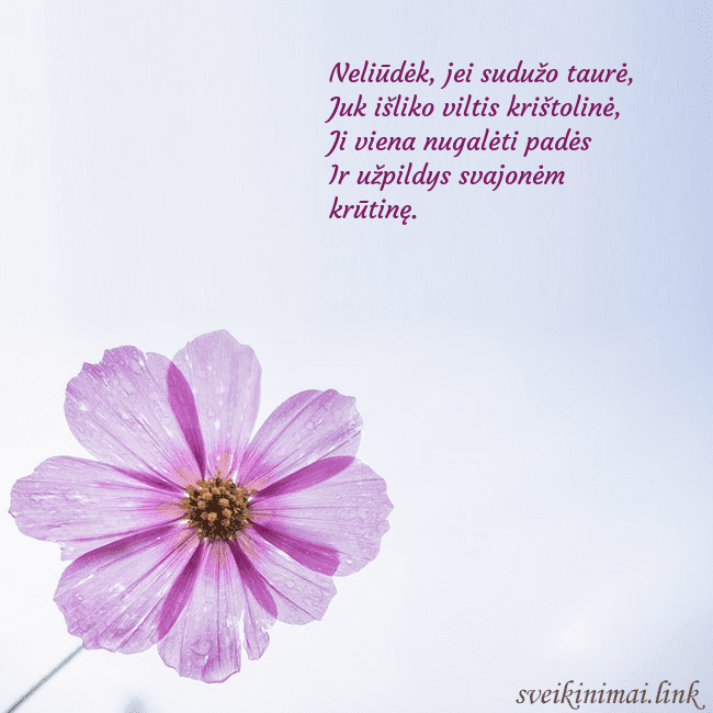 Elektroninė atvirutė su violetine gėle Neliūdėk, jei sudužo taurė,
Juk išliko viltis kri Elektroninė atvirutė su violetine gėle