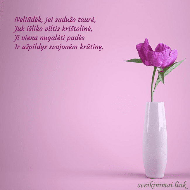 Elektroninė atvirutė su bijūnu vazoje Neliūdėk, jei sudužo taurė,
Juk išliko viltis kri Elektroninė atvirutė su bijūnu vazoje