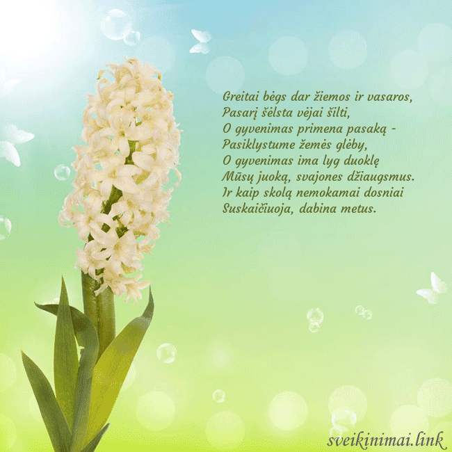 Atvirukas su hiacintu Greitai bėgs dar žiemos ir vasaros,
Pasarį šėlsta Atvirukas su hiacintu