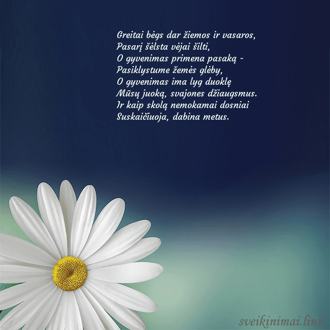 Gimtadienio atvirukas su didele ramune Greitai bėgs dar žiemos ir vasaros,
Pasarį šėlsta Gimtadienio atvirukas su didele ramune