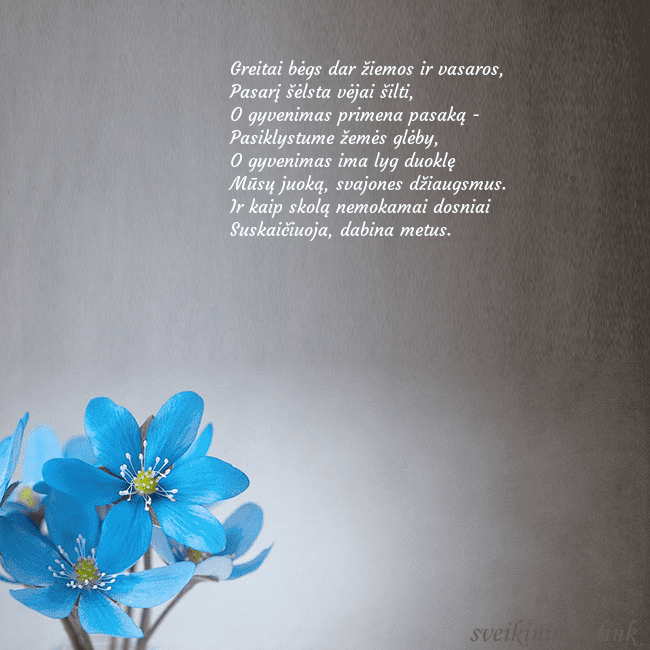 Atvirukas su žibuoklėmis Greitai bėgs dar žiemos ir vasaros,
Pasarį šėlsta Atvirukas su žibuoklėmis