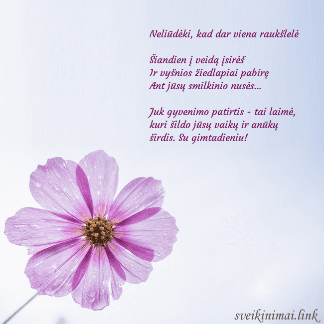 Elektroninė atvirutė su violetine gėle Neliūdėki, kad dar viena raukšlelė
Šiandien į ve Elektroninė atvirutė su violetine gėle