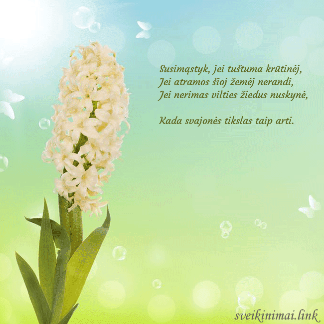 Atvirukas su hiacintu