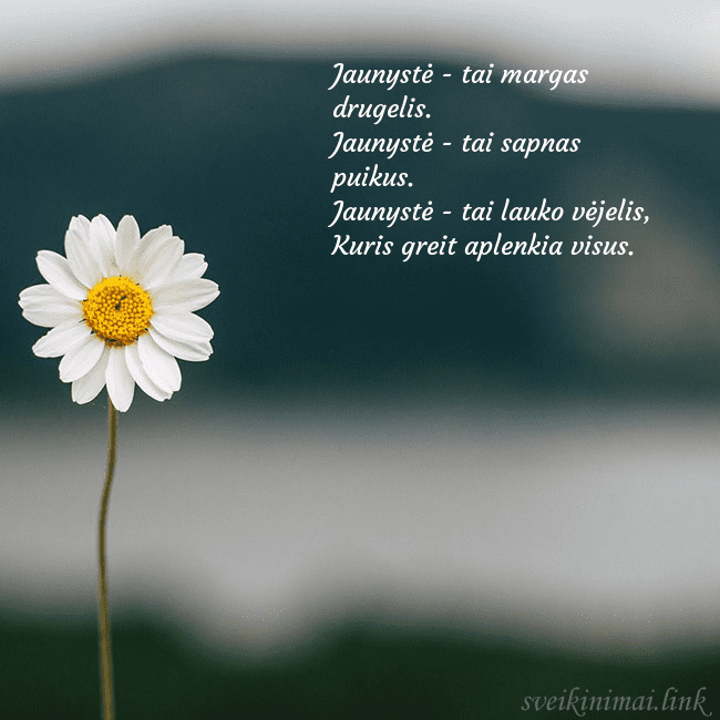 Elektroninis atvirukas su ramune Jaunystė - tai margas drugelis.
Jaunystė - tai sap Elektroninis atvirukas su ramune