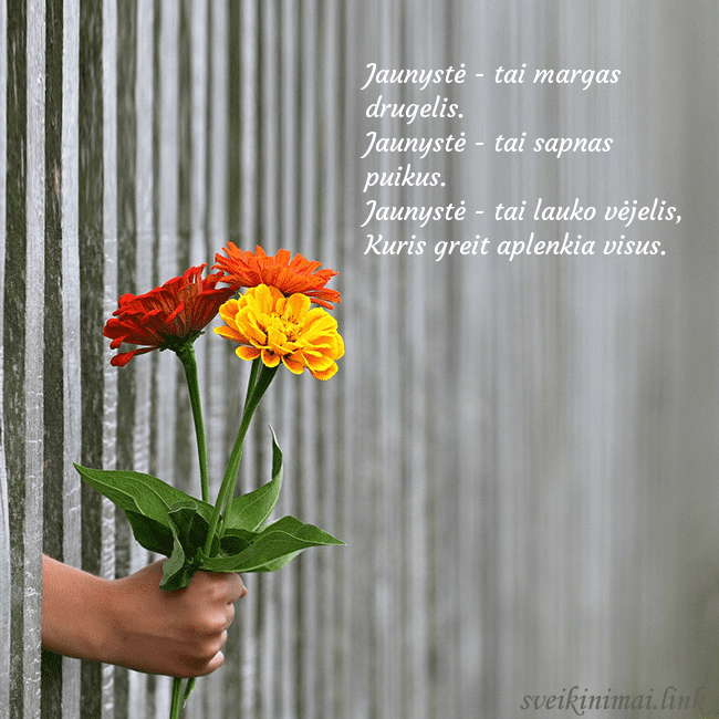 Elektroninė atvirutė su gėlių puokšte Jaunystė - tai margas drugelis.
Jaunystė - tai sap Elektroninė atvirutė su gėlių puokšte