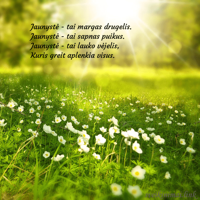 Elektroninė atvirutė su saulės spinduliuose skendinčia pieva Jaunystė - tai margas drugelis.
Jaunystė - tai sap Elektroninė atvirutė su saulės spinduliuose skendinčia pieva