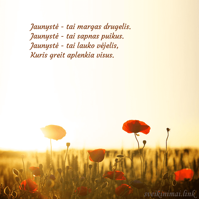 Elektroninė atvirutė su saulėje skendinčiu aguonų lauku Jaunystė - tai margas drugelis.
Jaunystė - tai sap Elektroninė atvirutė su saulėje skendinčiu aguonų lauku