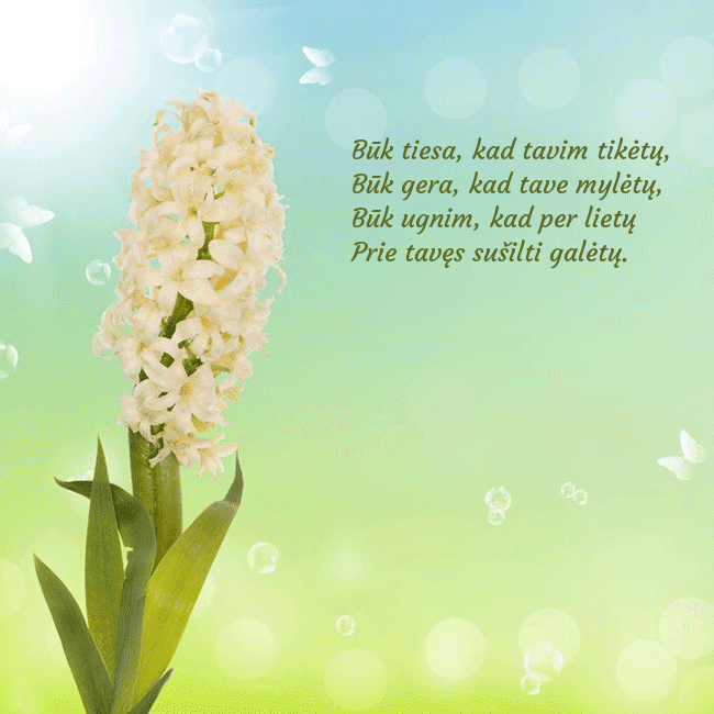 Atvirukas su hiacintu Būk tiesa, kad tavim tikėtų,
Būk gera, kad tave m Atvirukas su hiacintu