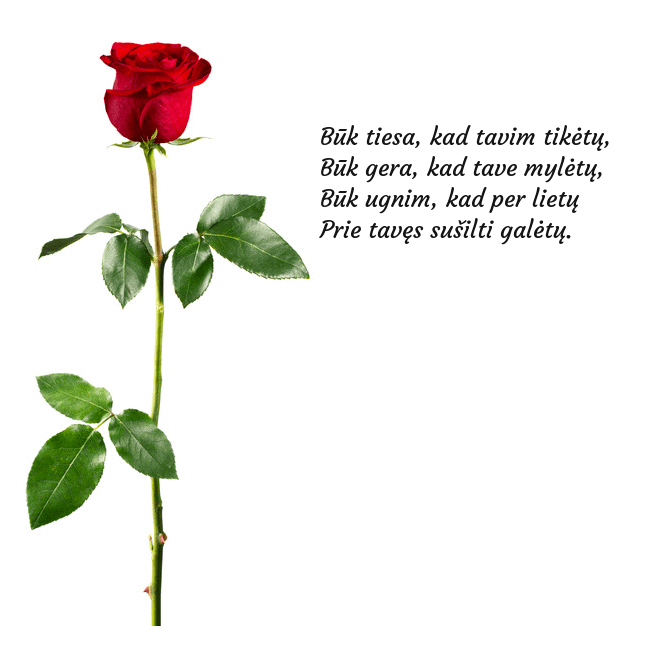 Atvirukas su raudona rože