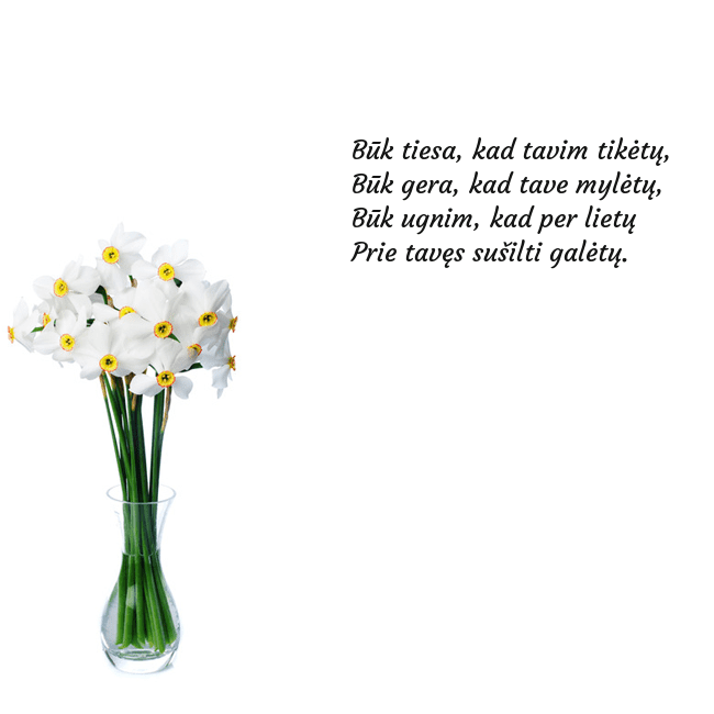Atvirukas su narcizais