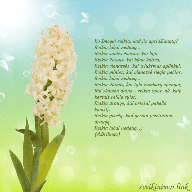 Atvirukas su hiacintu