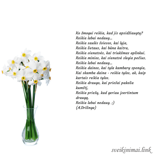 Atvirukas su narcizais