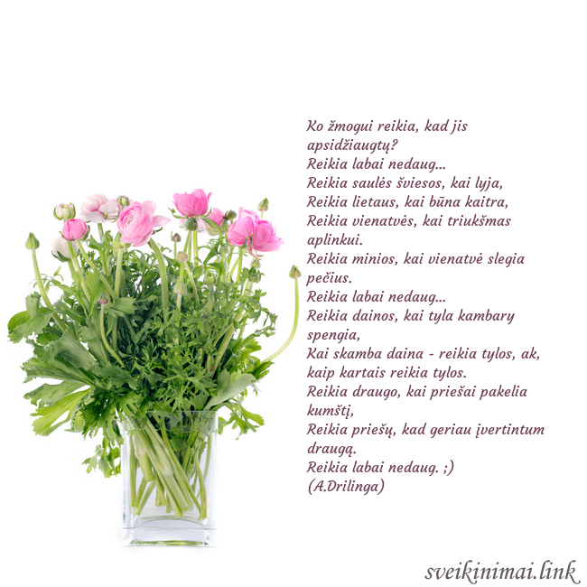 Atvirukas su gėlėmis vazoje