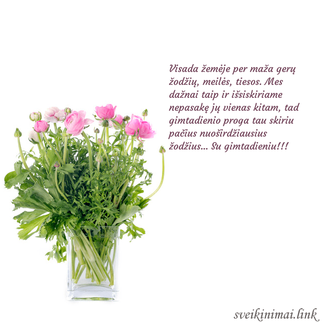 Atvirukas su gėlėmis vazoje Visada žemėje per maža gerų žodžių, meilės, tiesos Atvirukas su gėlėmis vazoje