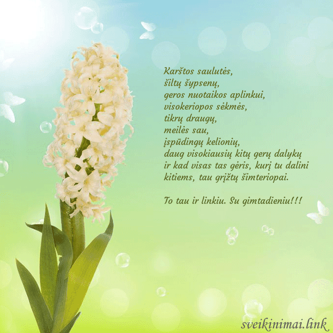 Atvirukas su hiacintu