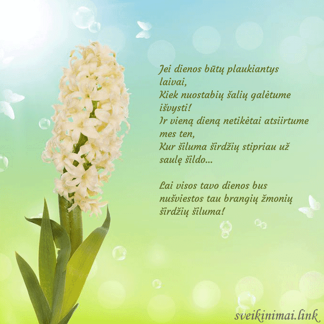 Atvirukas su hiacintu