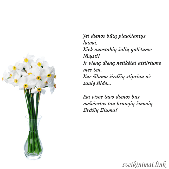 Atvirukas su narcizais