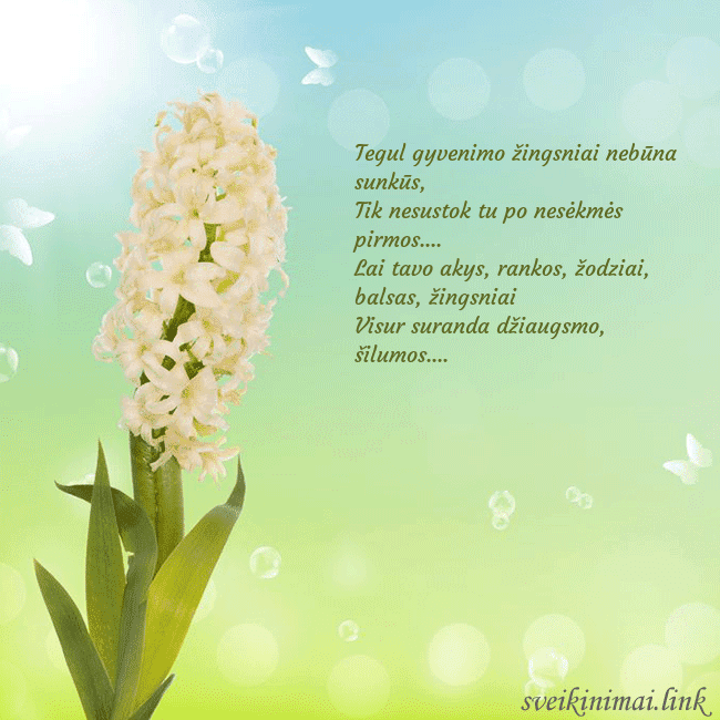 Atvirukas su hiacintu Tegul gyvenimo žingsniai nebūna sunkūs,
Tik nesu Atvirukas su hiacintu