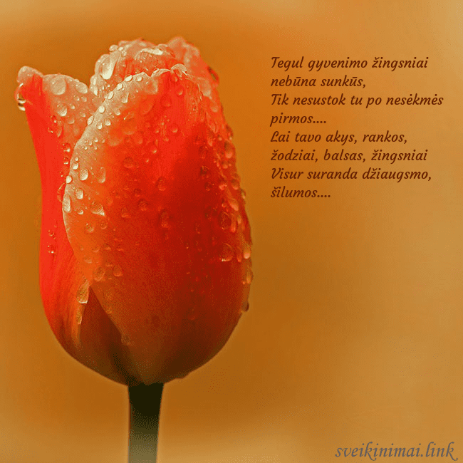 Gimtadienio atvirukas su raudona tulpe Tegul gyvenimo žingsniai nebūna sunkūs,
Tik nesu Gimtadienio atvirukas su raudona tulpe