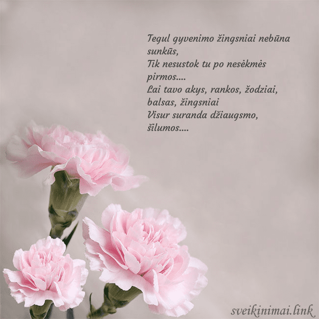 Atvirukas su rožiniais gvazdikais Tegul gyvenimo žingsniai nebūna sunkūs,
Tik nesu Atvirukas su rožiniais gvazdikais