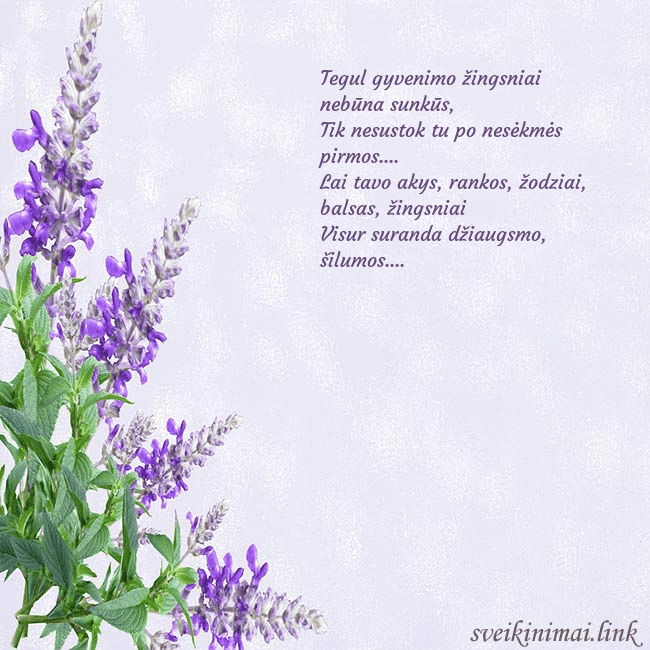 Gimtadienio atvirukas su lubinais Tegul gyvenimo žingsniai nebūna sunkūs,
Tik nesu Gimtadienio atvirukas su lubinais