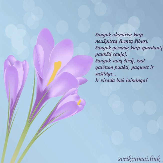 Atvirukas su kroku Saugok akimirką kaip neužpūstą šventą žiburį.
Sau Atvirukas su kroku