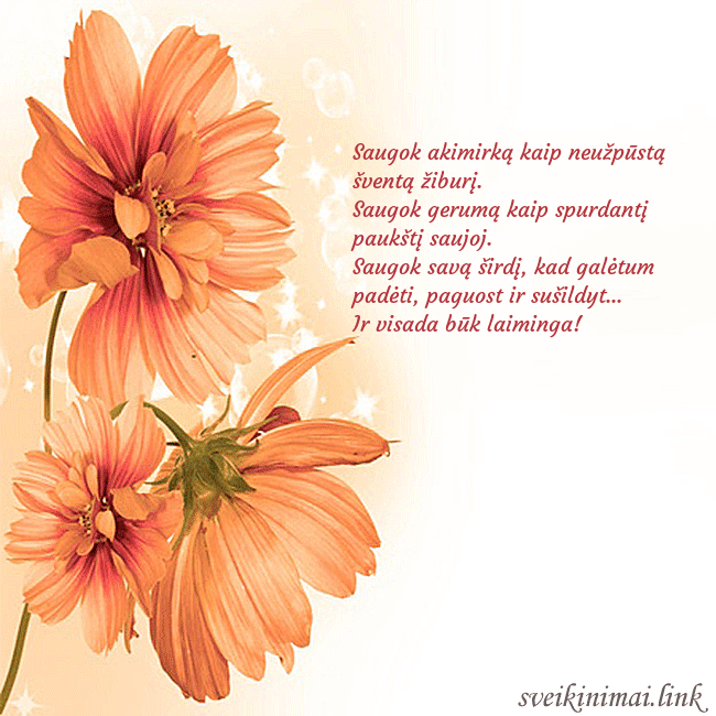 Atvirukas su oranžinėmis gėlėmis Saugok akimirką kaip neužpūstą šventą žiburį.
Sau Atvirukas su oranžinėmis gėlėmis