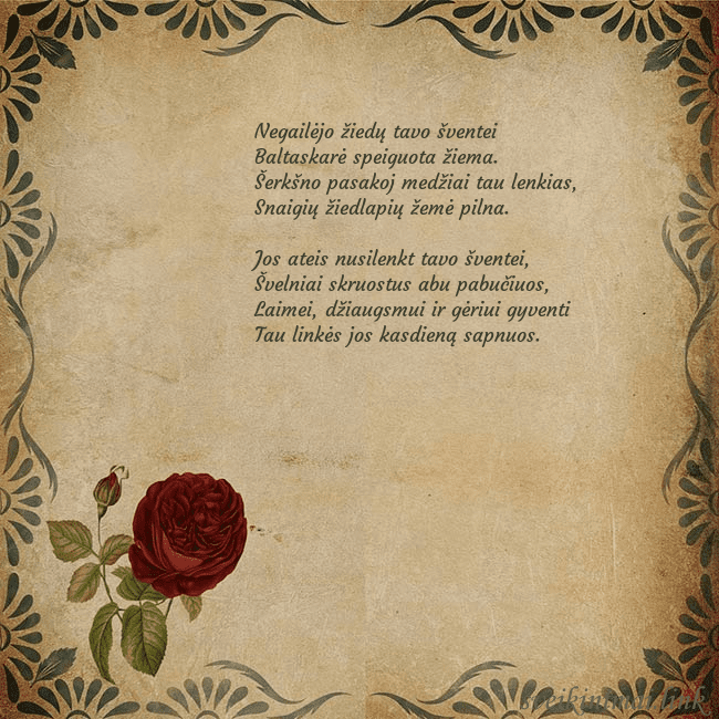 Vintažinis atvirukas su rože