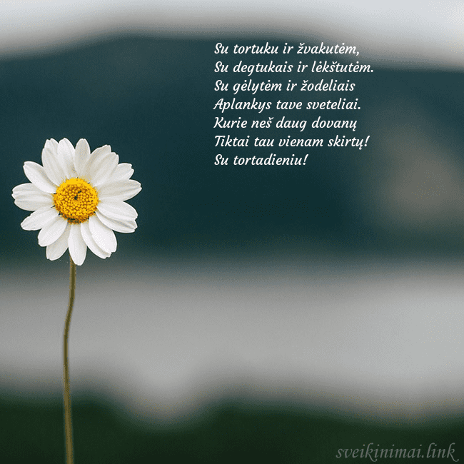 Elektroninis atvirukas su ramune