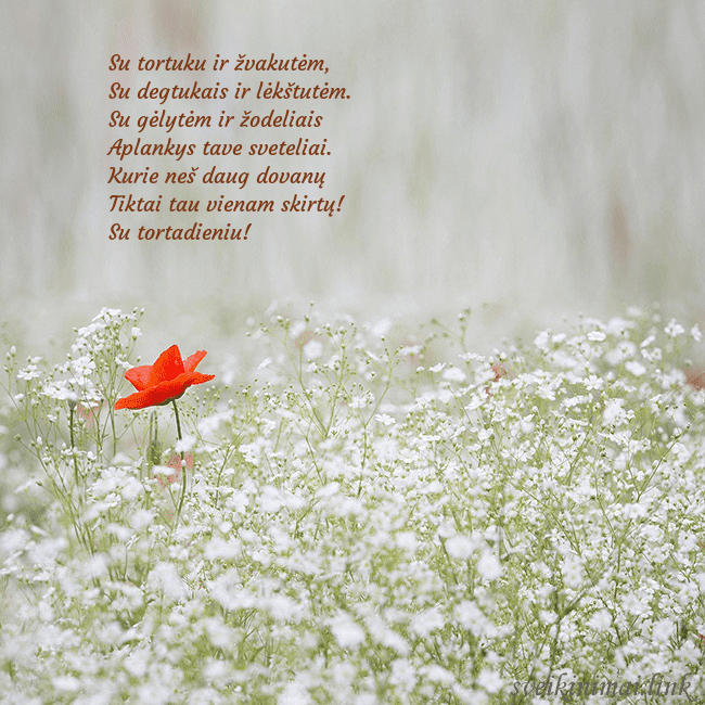 Elektroninis gimtadienio atvirukas su baltomis gėlėmis Su tortuku ir žvakutėm,
Su degtukais ir lėkštutė Elektroninis gimtadienio atvirukas su baltomis gėlėmis