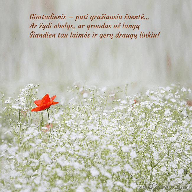 Elektroninis gimtadienio atvirukas su baltomis gėlėmis Gimtadienis – pati gražiausia šventė...
Ar žydi Elektroninis gimtadienio atvirukas su baltomis gėlėmis