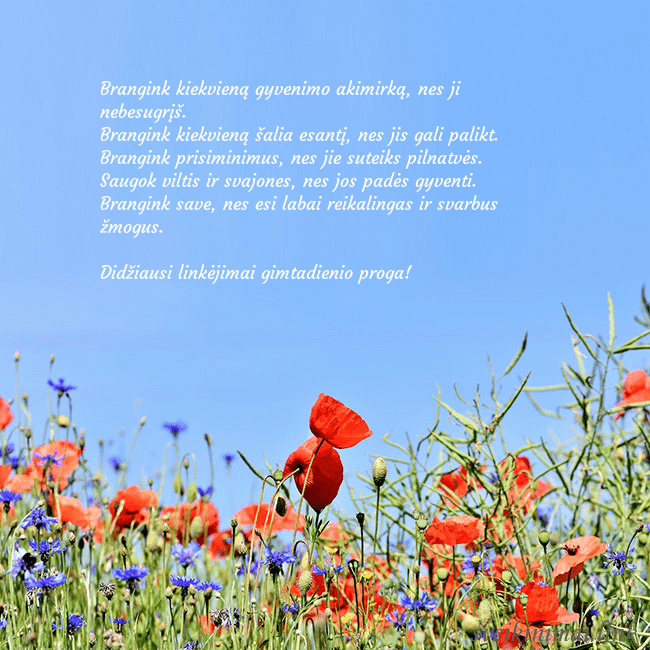 Gimtadienio atvirukas su aguonomis 