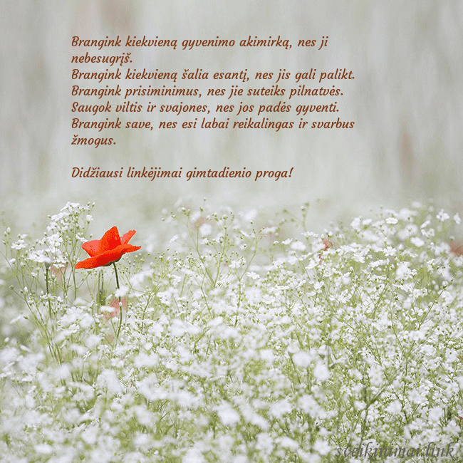 Elektroninis gimtadienio atvirukas su baltomis gėlėmis