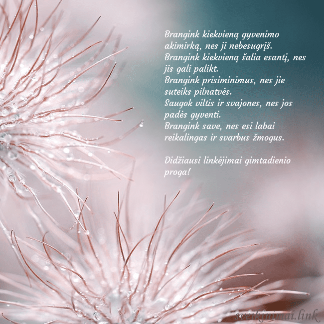 Atvirukas su pūkuotais augaliukais