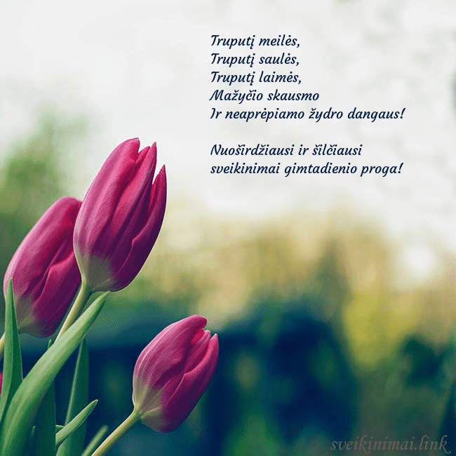 Atvirukas su trim raudonomis tulpėmis Truputį meilės,
Truputį saulės,
Truputį laimės, Atvirukas su trim raudonomis tulpėmis