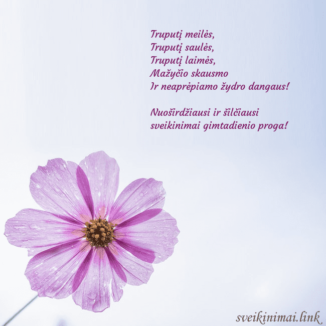 Elektroninė atvirutė su violetine gėle Truputį meilės,
Truputį saulės,
Truputį laimės, Elektroninė atvirutė su violetine gėle