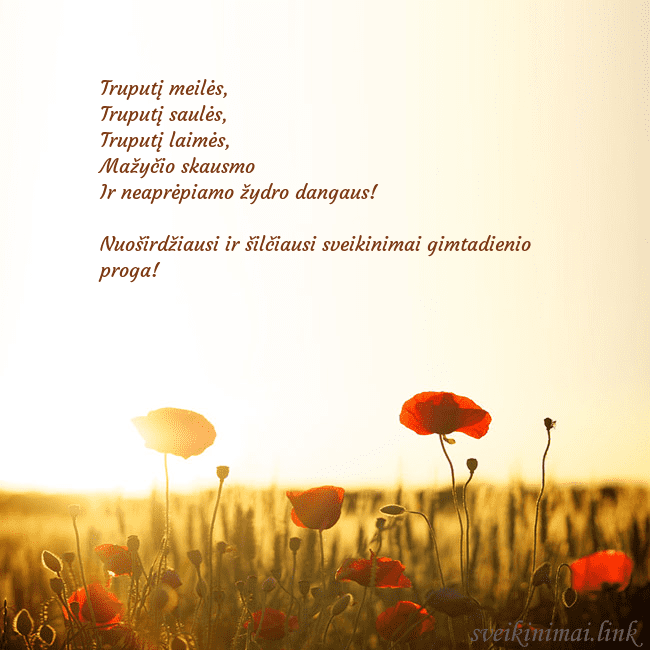 Elektroninė atvirutė su saulėje skendinčiu aguonų lauku