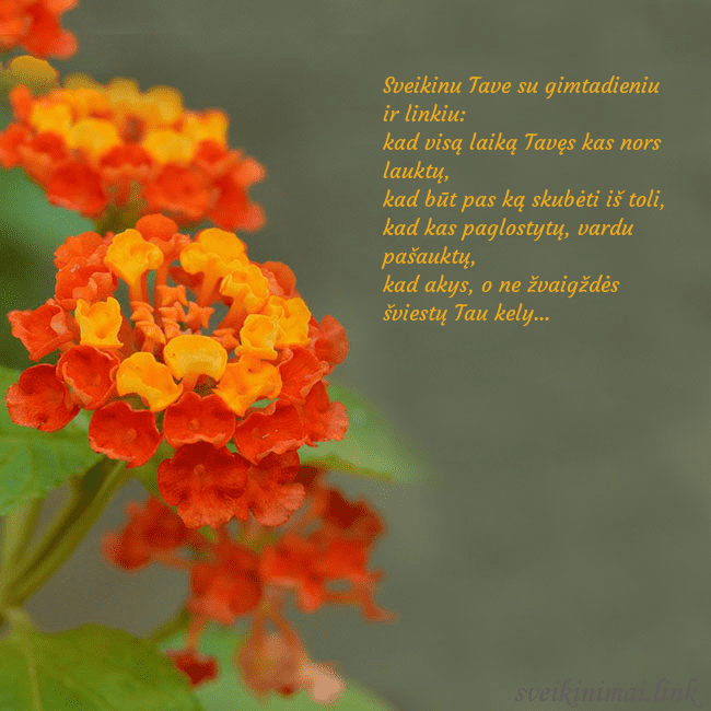 Atvirukas su oranžinėmis gėlėmis Sveikinu Tave su gimtadieniu ir linkiu:
kad visą Atvirukas su oranžinėmis gėlėmis