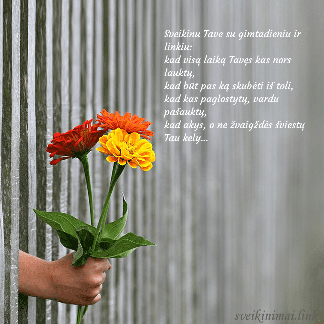 Elektroninė atvirutė su gėlių puokšte Sveikinu Tave su gimtadieniu ir linkiu:
kad visą Elektroninė atvirutė su gėlių puokšte