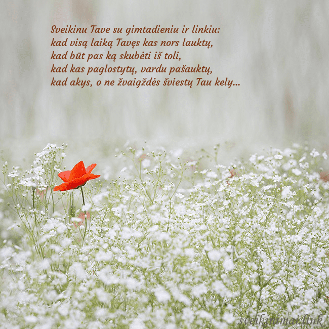 Elektroninis gimtadienio atvirukas su baltomis gėlėmis