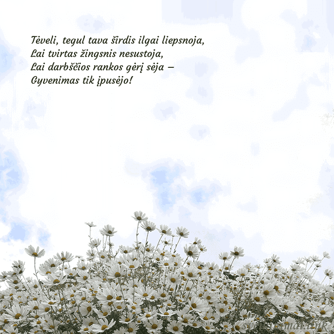 Atvirukas su ramunėmis