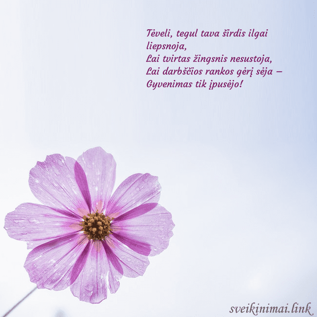 Elektroninė atvirutė su violetine gėle Tėveli, tegul tava širdis ilgai liepsnoja,
Lai t Elektroninė atvirutė su violetine gėle
