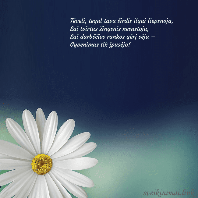 Gimtadienio atvirukas su didele ramune Tėveli, tegul tava širdis ilgai liepsnoja,
Lai t Gimtadienio atvirukas su didele ramune