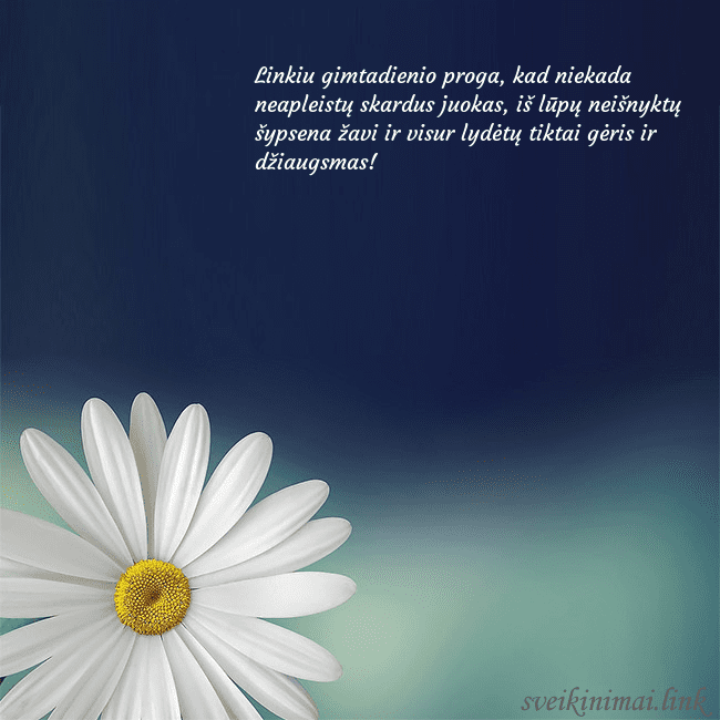 Gimtadienio atvirukas su didele ramune