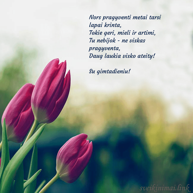 Atvirukas su trim raudonomis tulpėmis Nors pragyventi metai tarsi lapai krinta,
Tokie g Atvirukas su trim raudonomis tulpėmis