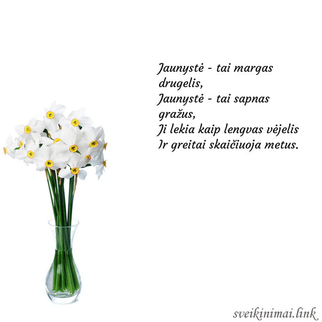 Atvirukas su narcizais Jaunystė - tai margas drugelis,
Jaunystė - tai sa Atvirukas su narcizais