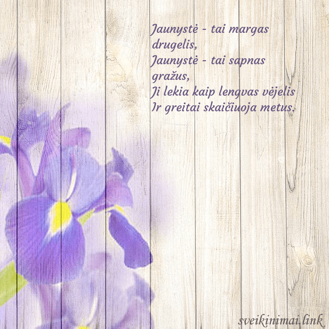 Atvirukas su vilkdalgiais Jaunystė - tai margas drugelis,
Jaunystė - tai sa Atvirukas su vilkdalgiais