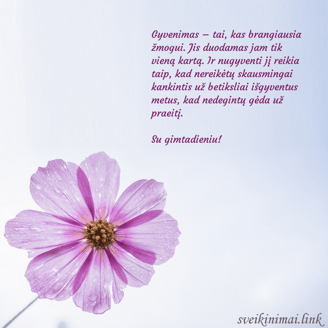 Elektroninė atvirutė su violetine gėle Gyvenimas – tai, kas brangiausia žmogui. Jis duoda Elektroninė atvirutė su violetine gėle