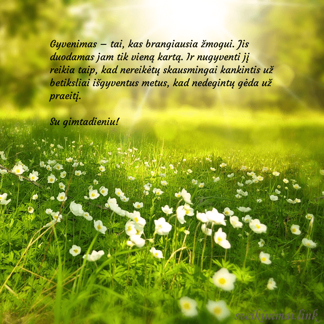 Elektroninė atvirutė su saulės spinduliuose skendinčia pieva