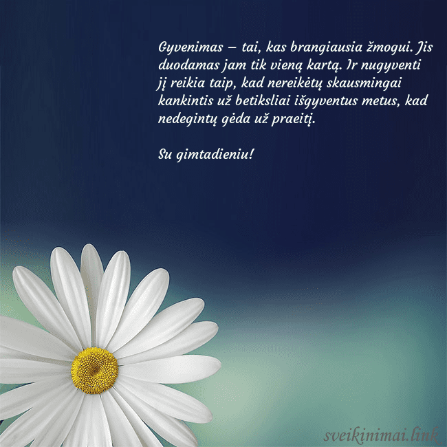 Gimtadienio atvirukas su didele ramune Gyvenimas – tai, kas brangiausia žmogui. Jis duoda Gimtadienio atvirukas su didele ramune